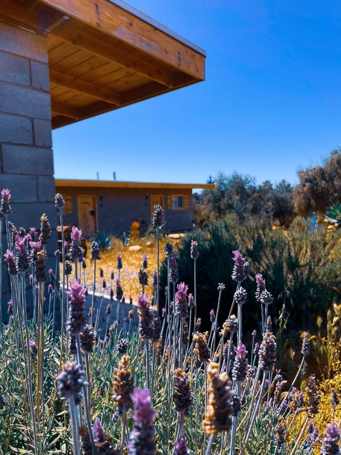 Sn Tony Hotel & Spa Villa de Juarez Eksteriør bilde