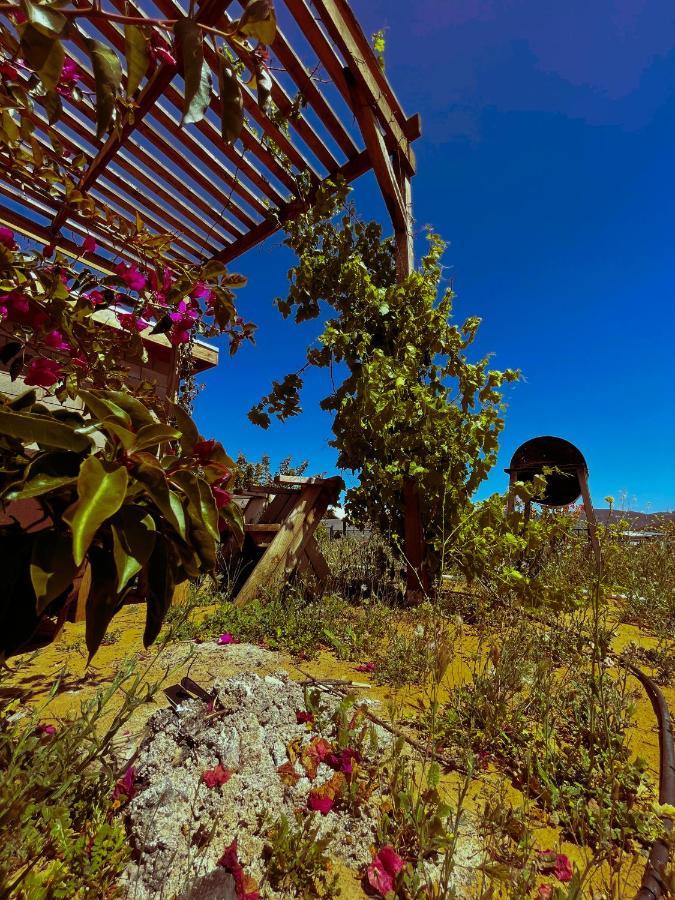 Sn Tony Hotel & Spa Villa de Juarez Eksteriør bilde